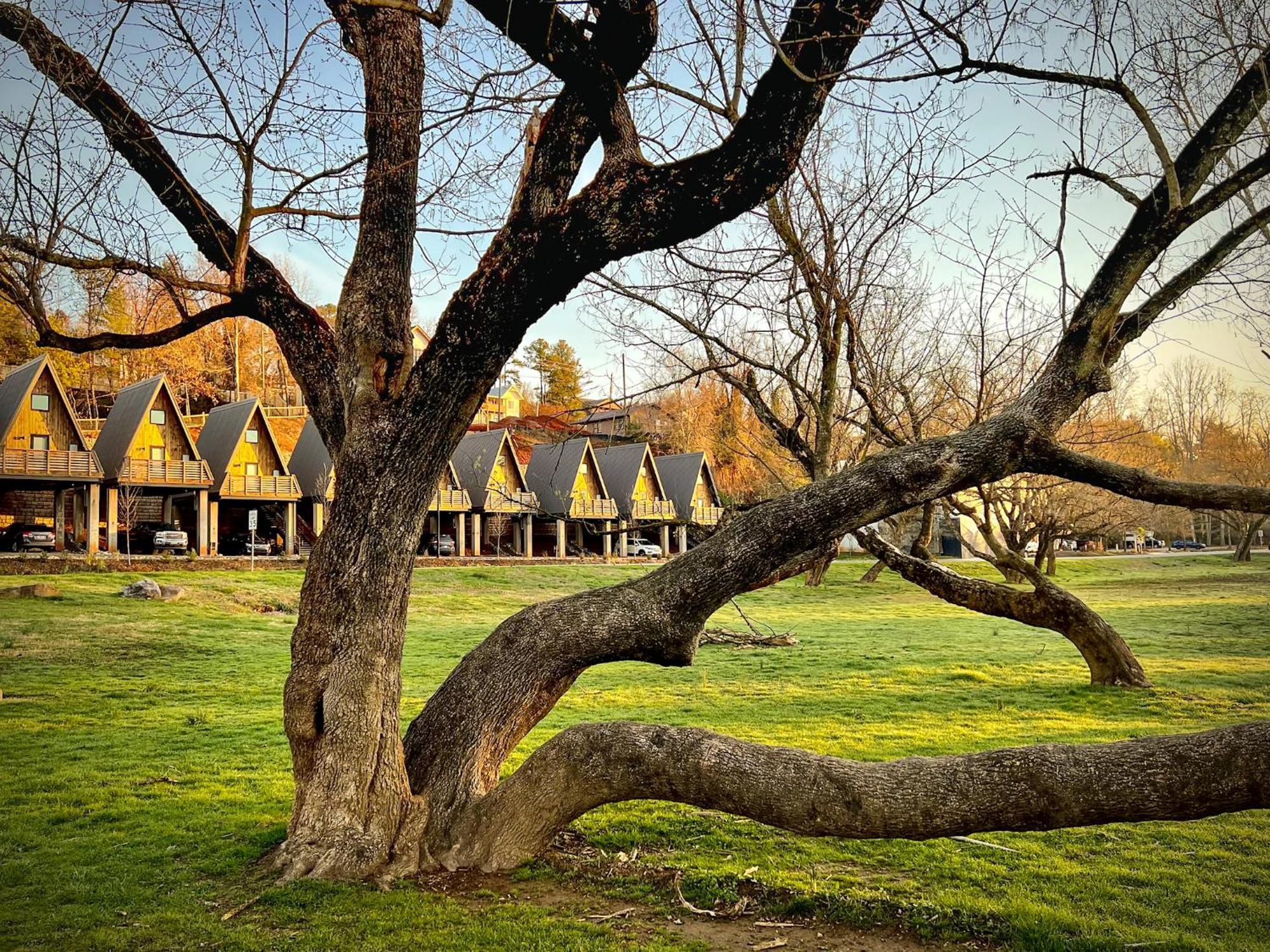 Wrong Way River Lodge & Cabins Άσβιλ Εξωτερικό φωτογραφία